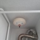 평화제일 이미지