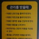 고양체형피부관리실
