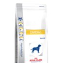 문정힐스 동물병원 이미지