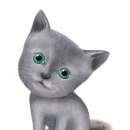 명동물병원 이미지