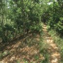 서천 건지산성 이미지