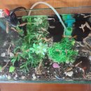 (주)좋은사료자원 이미지