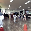 단국대 나래태권도 이미지