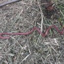 유인농장 이미지