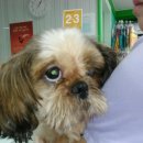 멍이네 하우스 이미지