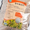 와이앤제이코퍼레이션