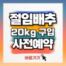 진주금산농협 갈전지점 하나로마트 | 절임배추 20kg 사전예약 구입하기 고랭지 김장철 김치 가격
