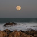 CW-1900-01 이미지