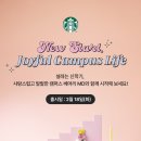 베어리마켓