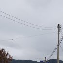 오수물막국수 이미지