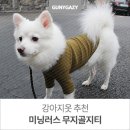 무지골 | 강아지옷 코펫에서 사온 &#39;미닝러스&#39;