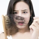 머슬드래곤짐 이미지