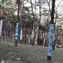 물무산행복숲둘레길 이미지