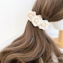 카멜리아 이미지