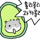 국가대표 모란점 이미지