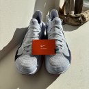 (주)알파미디어코리아 | &lt; 한국에서 온 나이키 알파플라이 3 / 나이키 코리아 만세&gt; - 내돈내산 장비리뷰