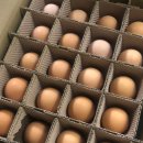 정기1농장 이미지