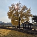 신당리 마을회관 이미지