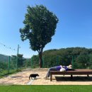 예천군 곤충나라 사과테마파크 오토캠핑장 이미지