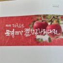 캘리그라피B Daum카페