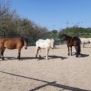 가가홀스 이미지