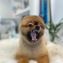 깍고밀고이발 이미지