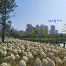 평택센트럴자이1단지 이미지