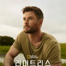 리미트리스컴퍼니 bnt뉴스