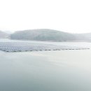 세운 태양광발전소 이미지