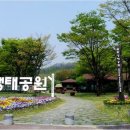 강동-길동-2770 | 도심속의 작은 숲- 길동생태공원.