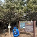 형주목장 네이버블로그