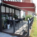 애견수족관 이미지