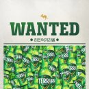 테라디자인 이미지