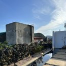 종달차경(메리골드) | 섬세함에 감동한 제주도 동쪽 구좌 숙소 ‘종달차경메리골드’ 24개월 아기와 함께