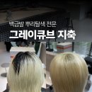 큐브미용실 | 백금발 2년차가 정착한 탈색 잘하는 곳, 고양 지축 미용실 그레이큐브 내돈내산 후기