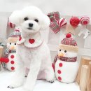 재영동물병원 이미지