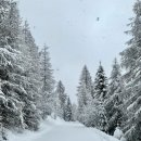 전인한의원 이미지