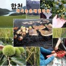 대기농촌체험마을 이미지