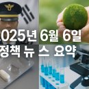 🎯 2025년 6월 6일 정책뉴스 요약 – 현충일 보훈 강화부터 환경실천까지