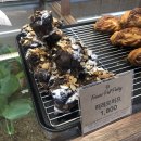 폴콘양주 이미지