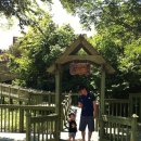 로하스에버 이미지