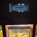 동강생태정보센터 이미지