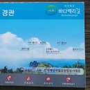 통영 소매물도 거제 저구항 배편 시간 등대섬 물때