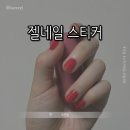 거울아 거울아 내가 젤 예쁘지? | [로엔블] 젤네일 스티커 || 가성비 좋은 네일 추천