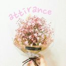 병 찬 소 다 : Attirance 이미지