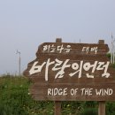 매봉산정상 이미지