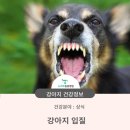 청학동물병원 이미지