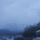 청파수산 - 동구 경안로 938 | 청파수산