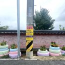 봉황거리 벽화 이미지