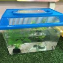 예지유치원 이미지